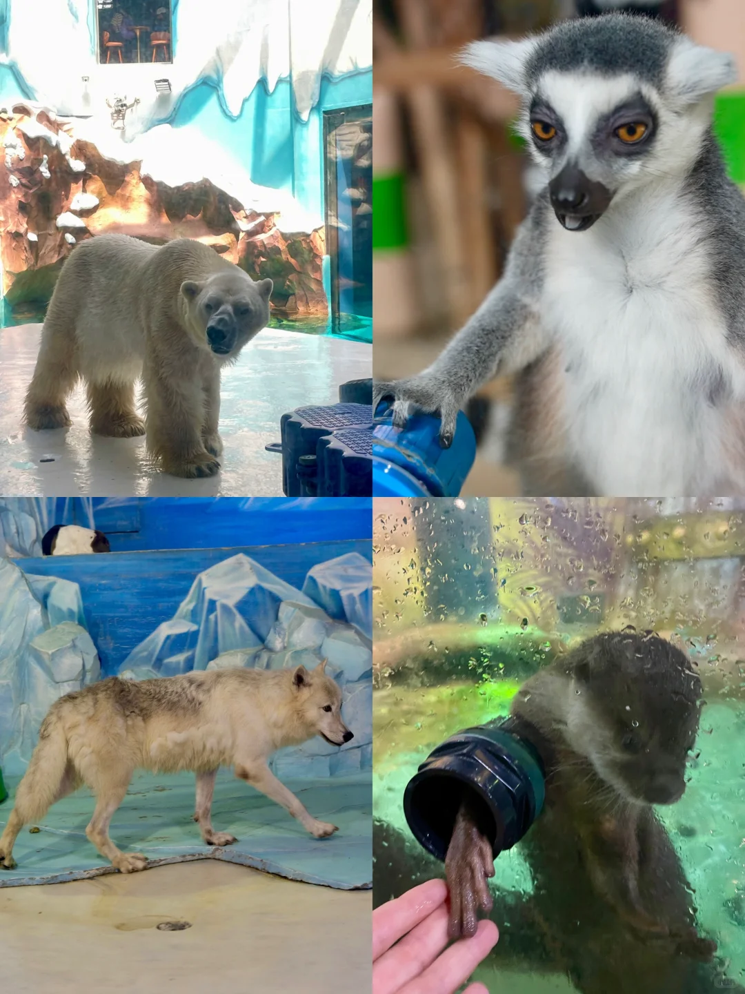 哈尔滨📍三天两夜｜懒人版旅游攻略