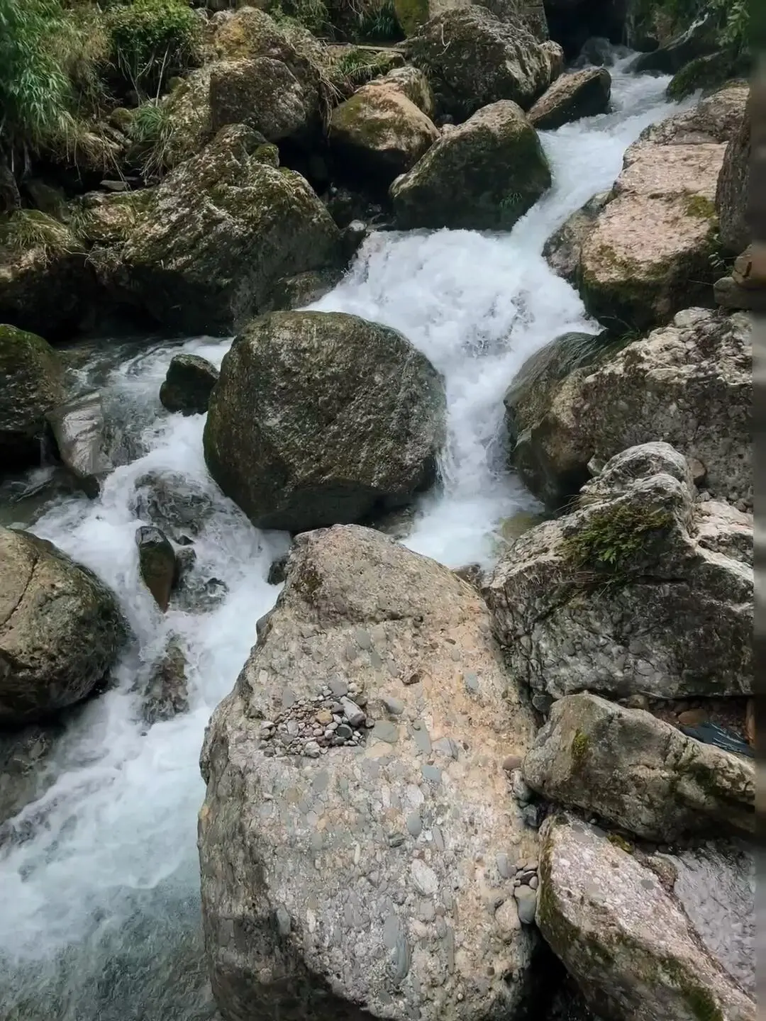 今天去爬山啦～⛰️