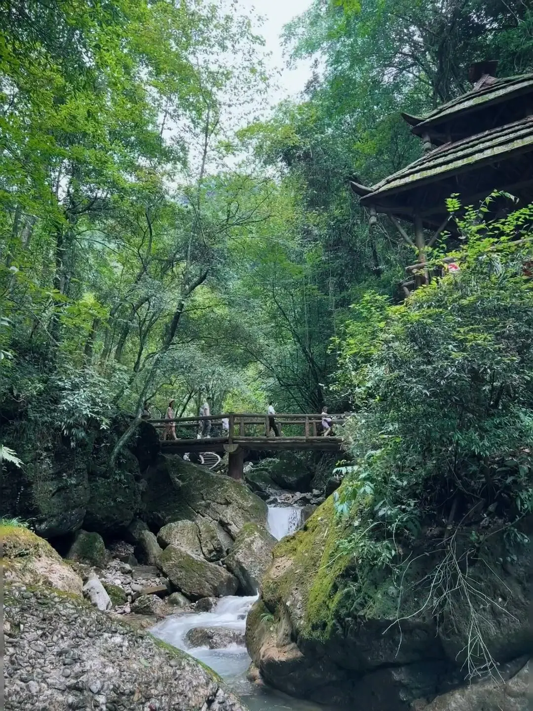 今天去爬山啦～⛰️