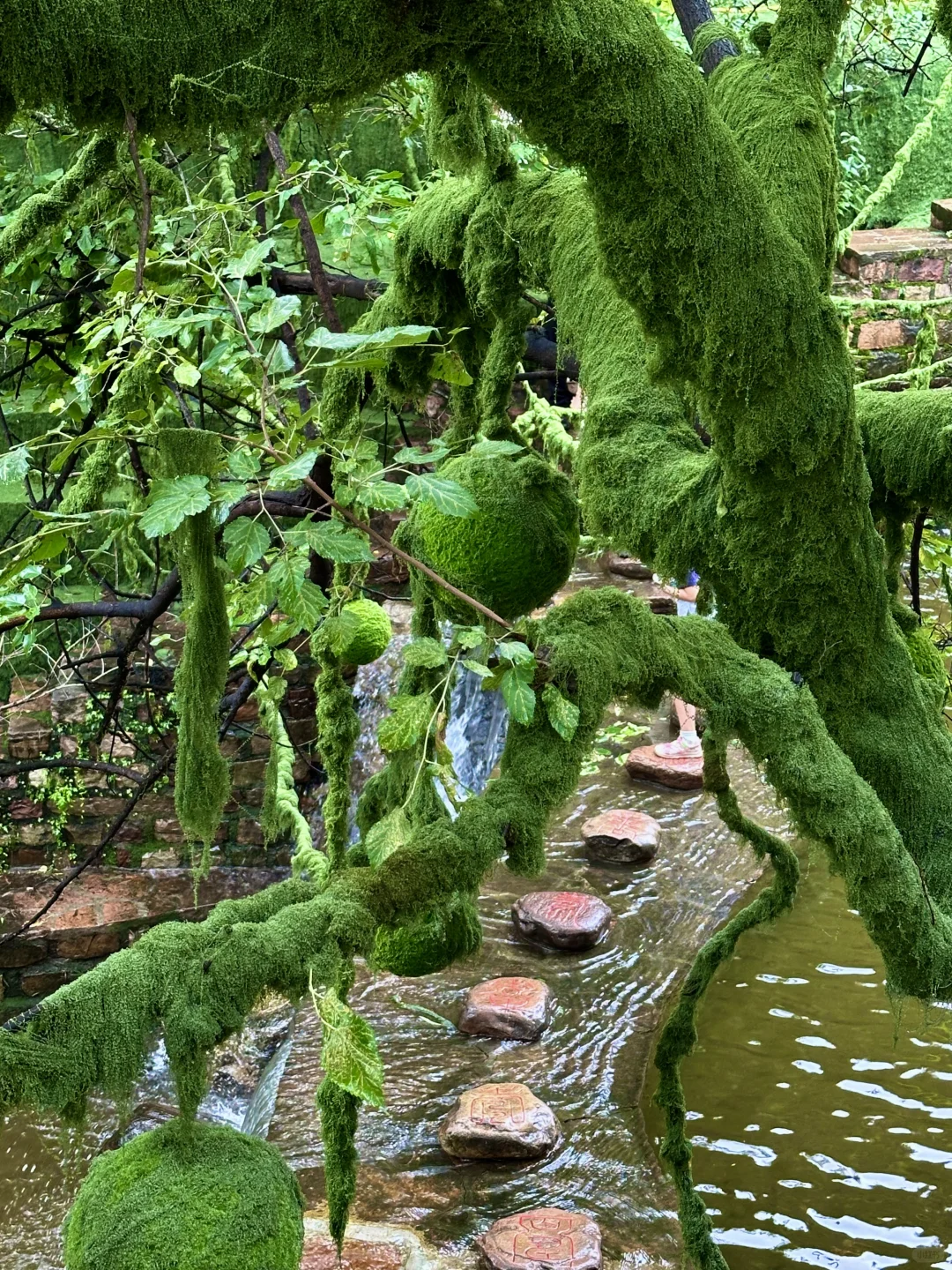 🌿邯郸十六沟 | 藏在山水间的诗意秘境