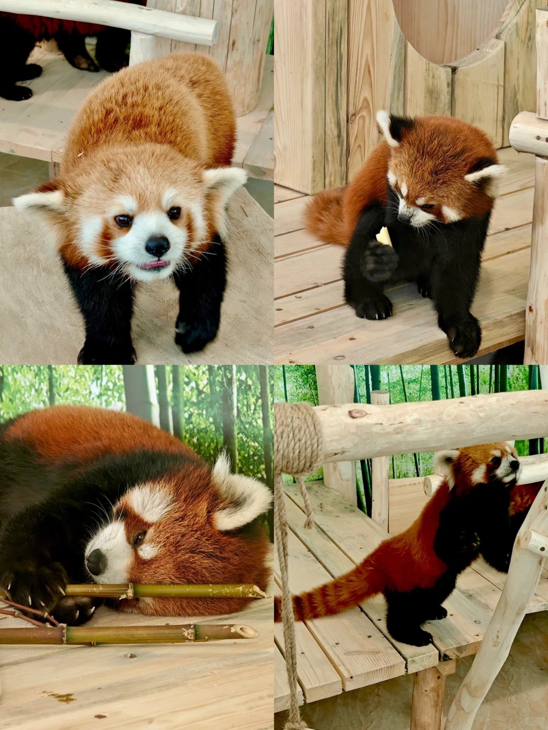 哈尔滨📍三天两夜｜懒人版旅游攻略