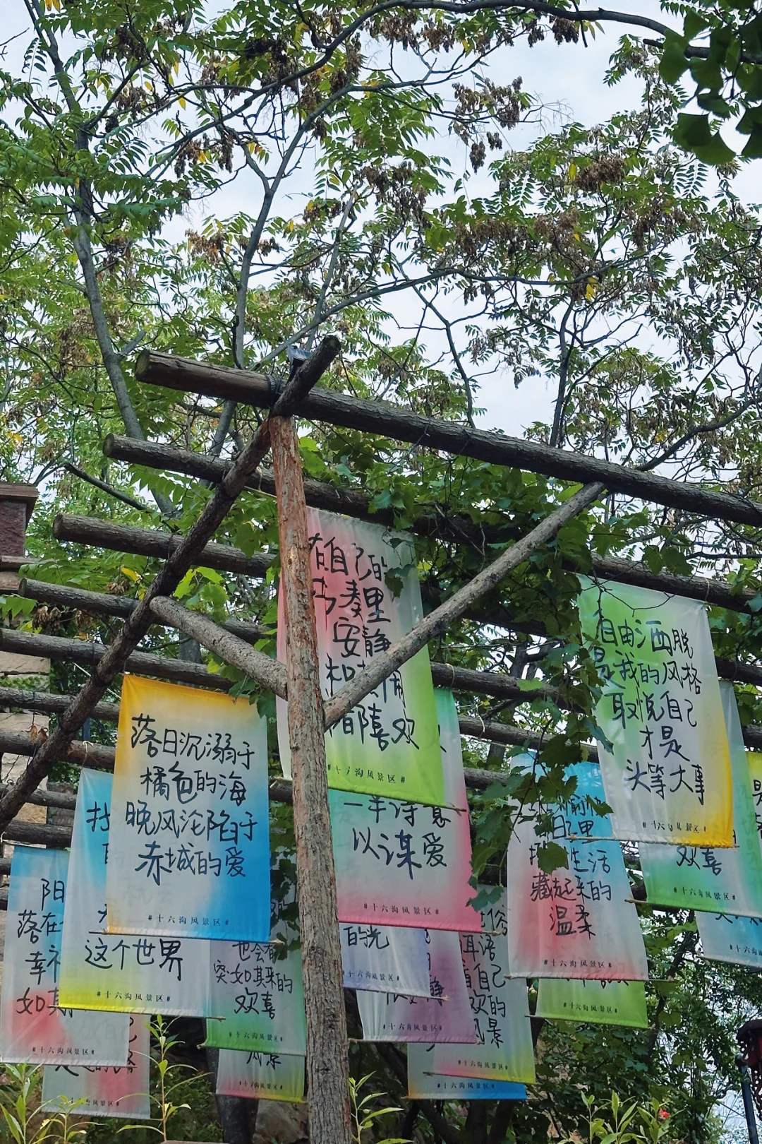 石家庄…2小时直达乌镇⛰️🍃