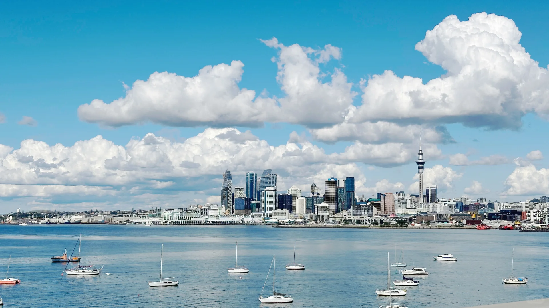 奥克兰的景点和美食