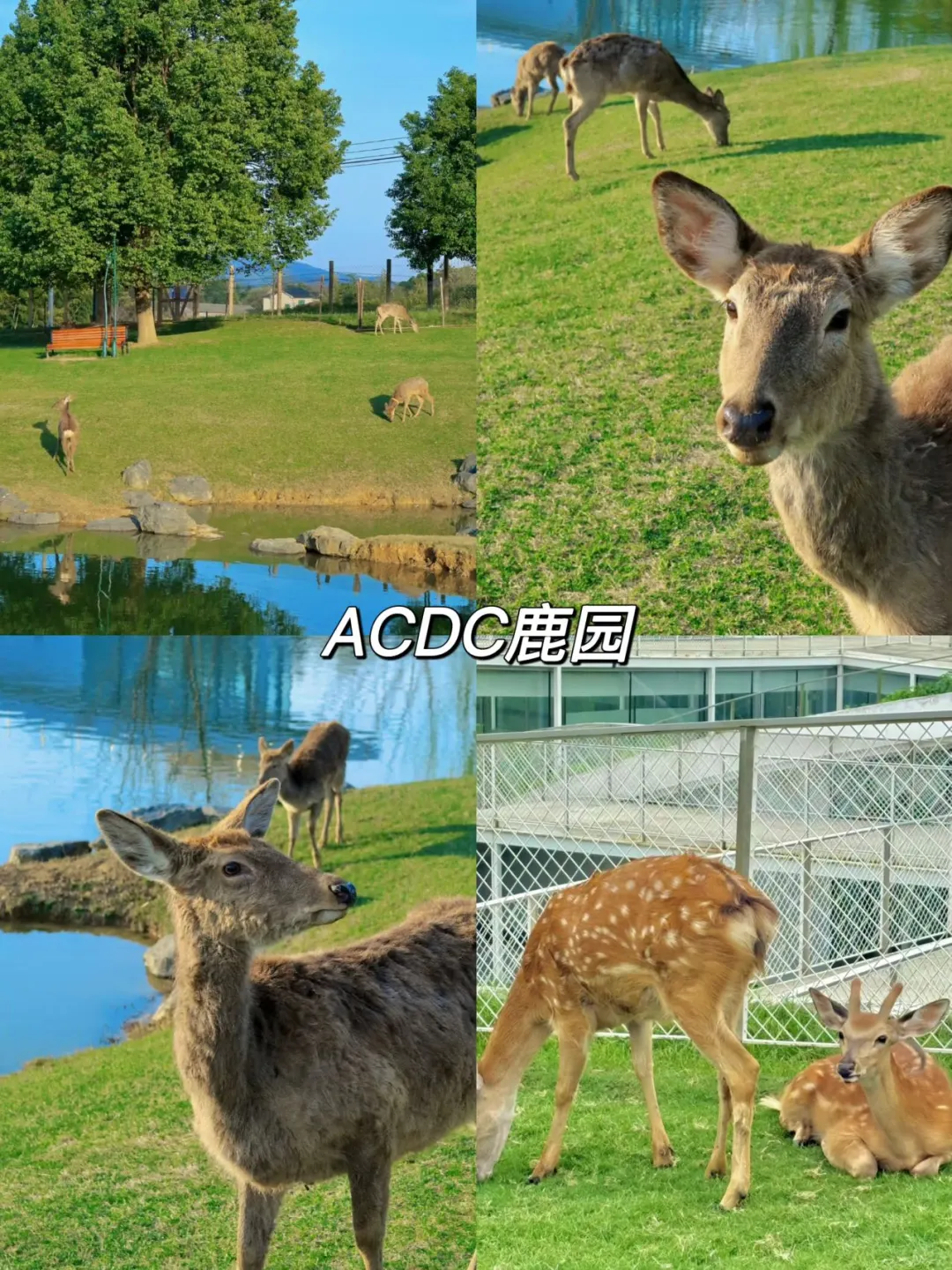 安吉旅游📝去之前一定要做好攻略