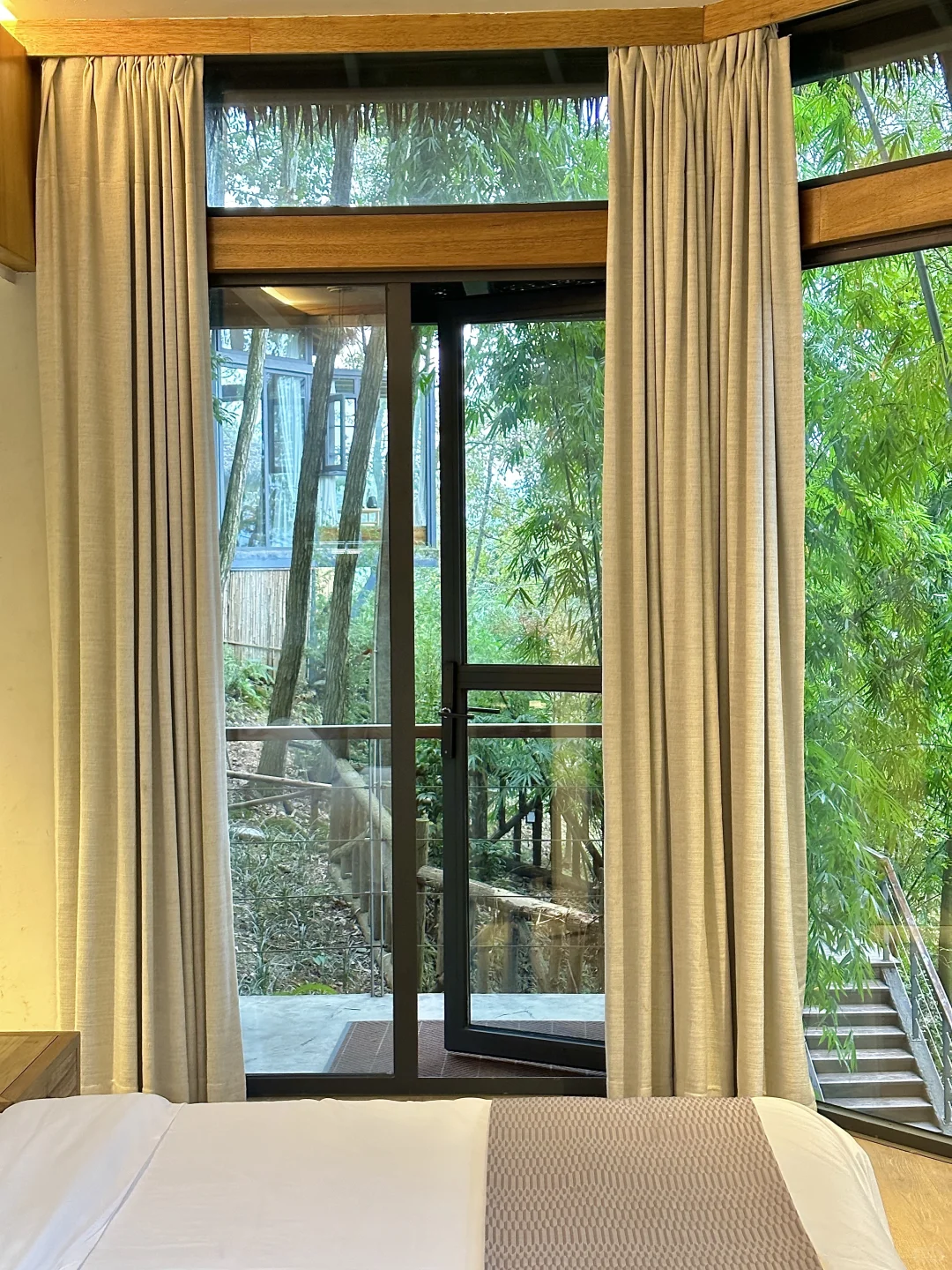 私藏年度18staycation🌲国内小众版