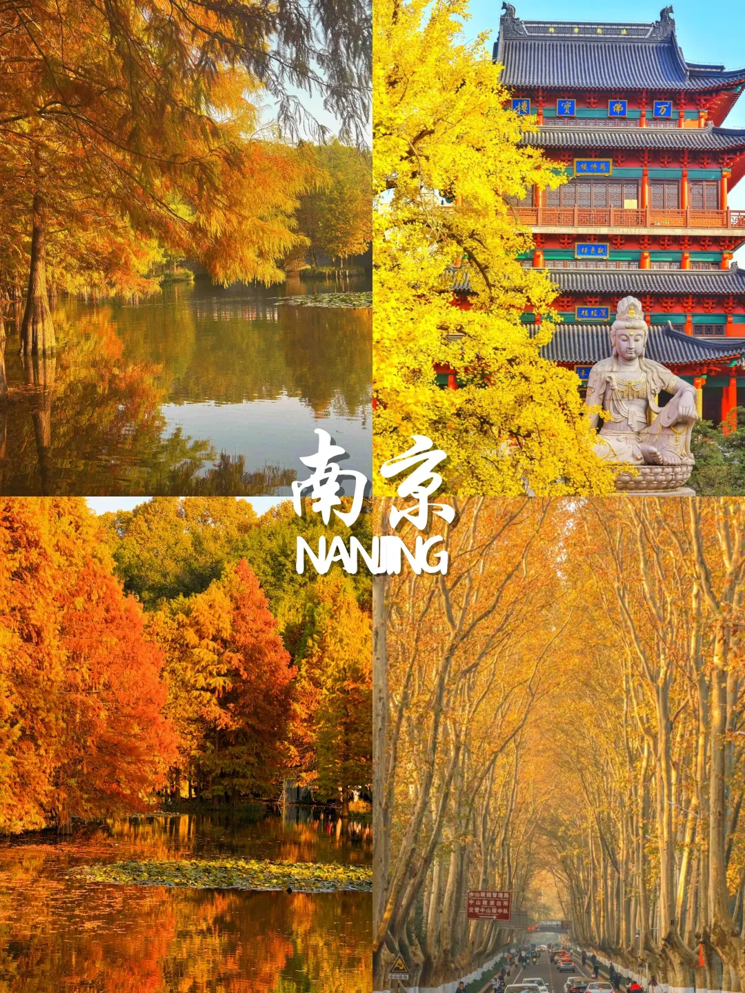 9-11月国内赏秋🍁不容错过的9大宝藏地