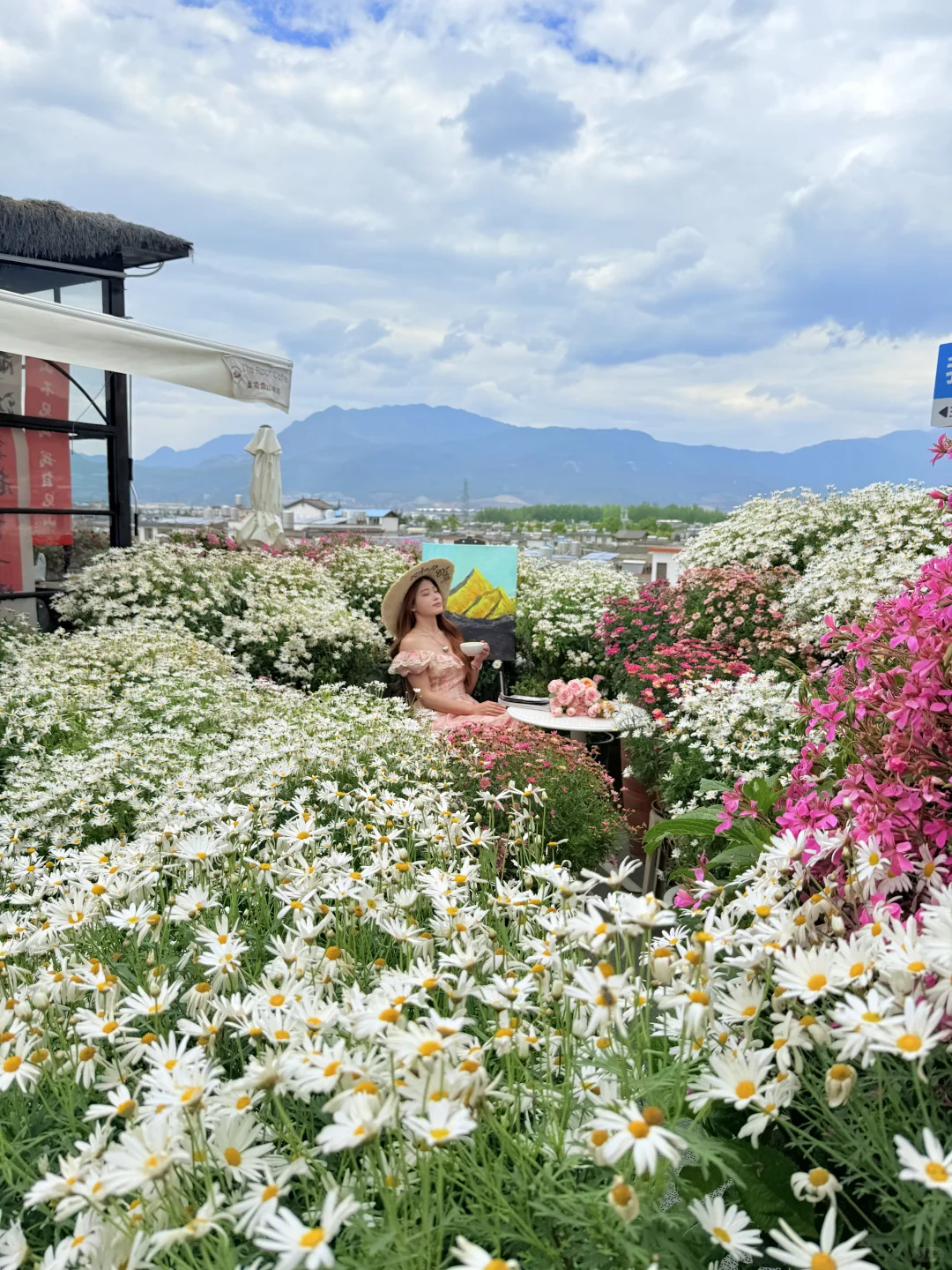 live实况!!为了这18张图特意去了一趟丽江!