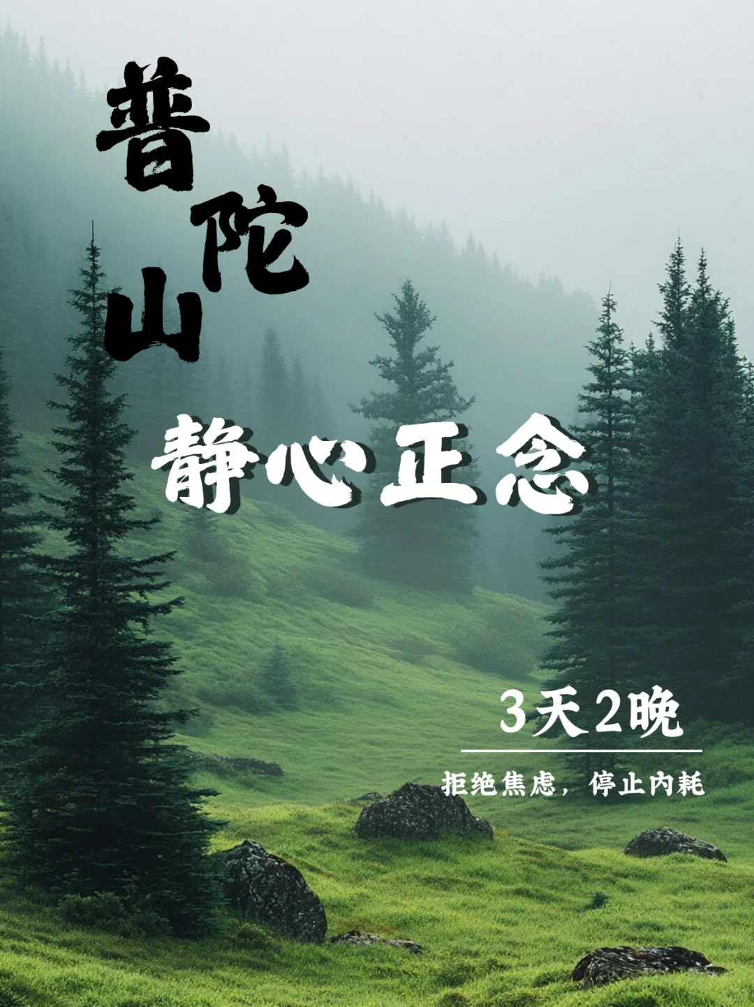 普陀山:一个人,一片海,一颗安静下来的心