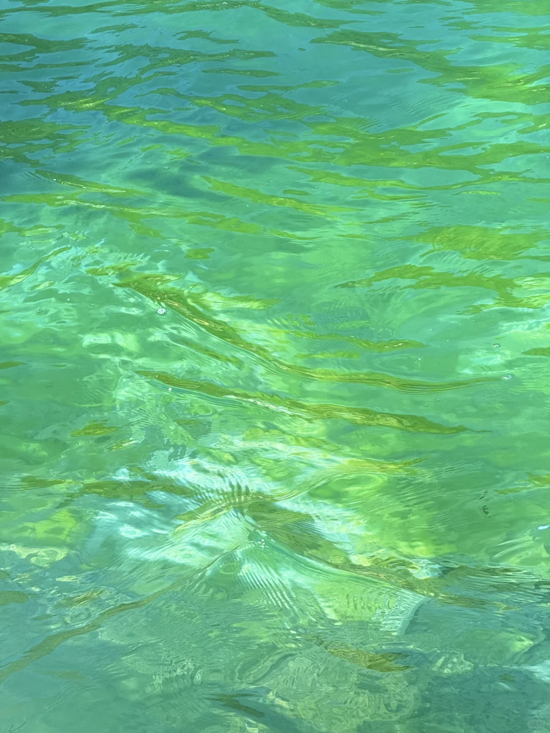 live实况!!为了这18张图特意去了一趟丽江!