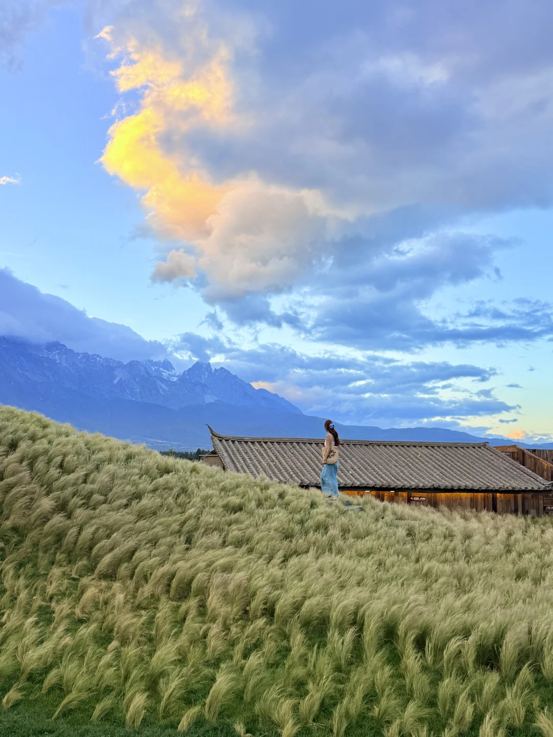 live实况!!为了这18张图特意去了一趟丽江!