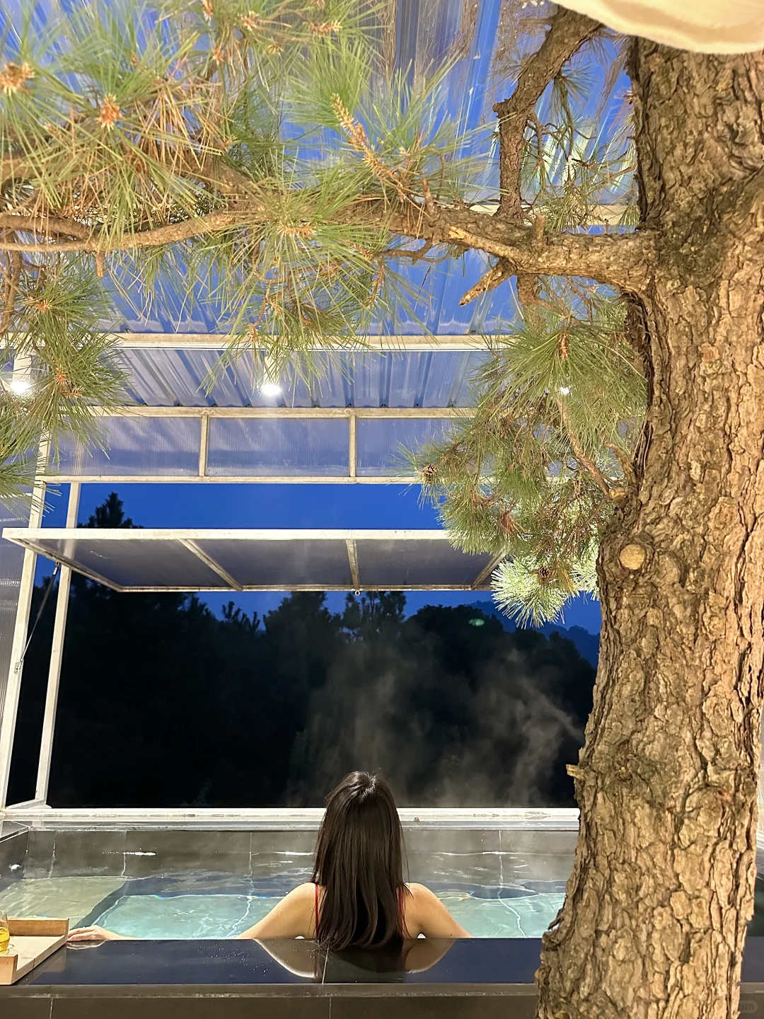 私藏年度18staycation🌲国内小众版