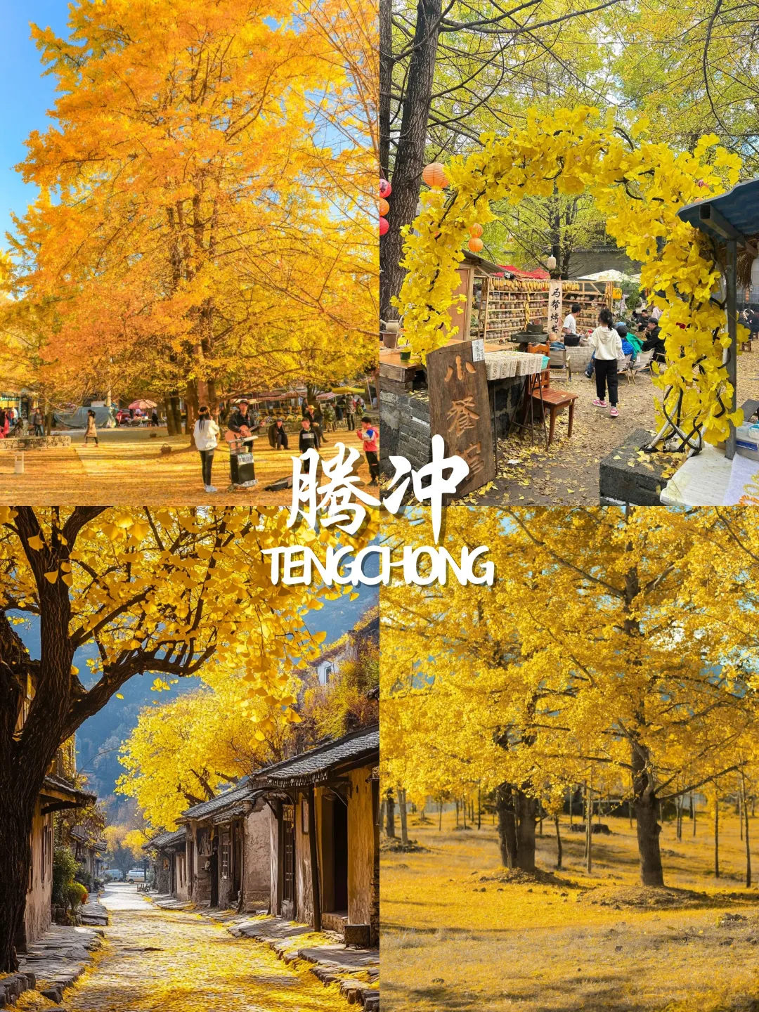 9-11月国内赏秋🍁不容错过的9大宝藏地