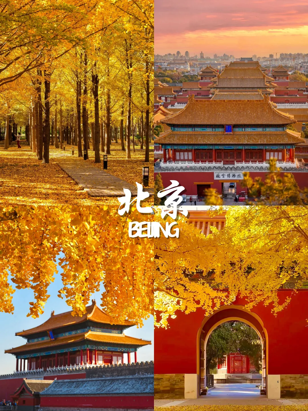 9-11月国内赏秋🍁不容错过的9大宝藏地