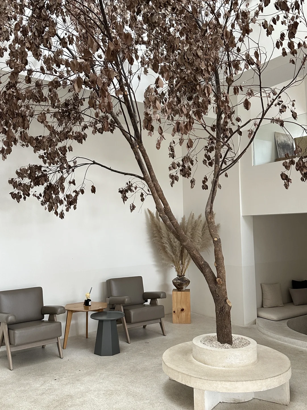 私藏年度18staycation🌲国内小众版