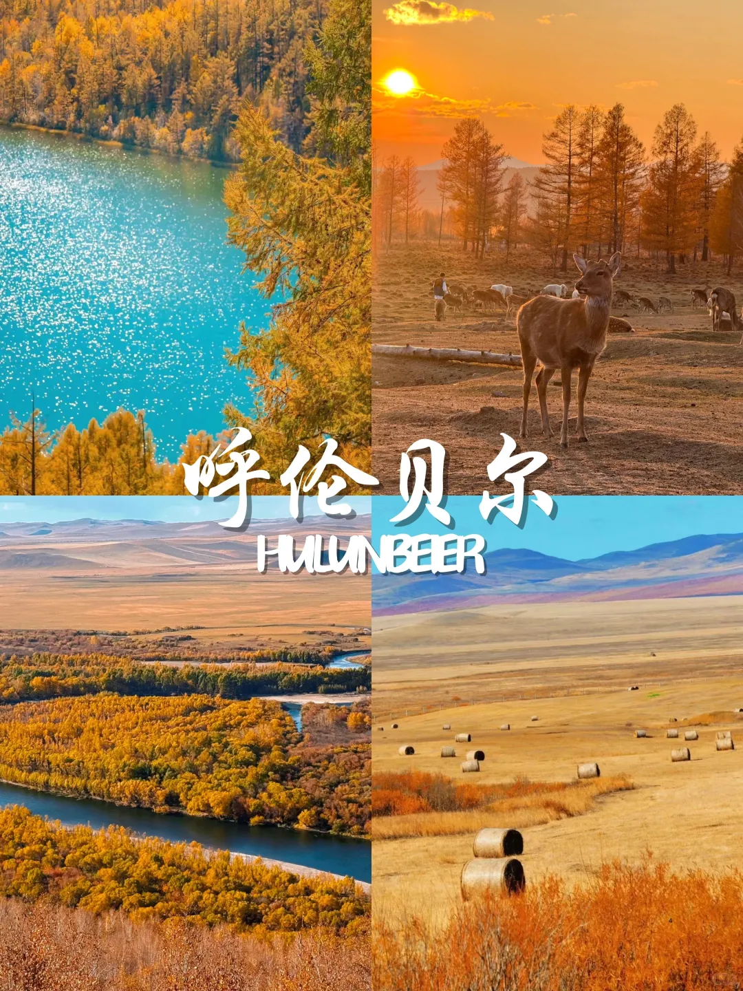 9-11月国内赏秋🍁不容错过的9大宝藏地