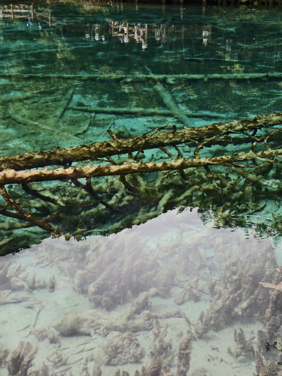 人生必去一趟九寨沟！