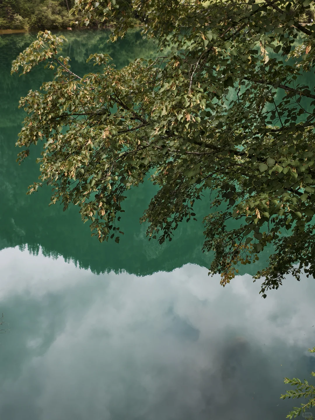 人生必去一趟九寨沟！