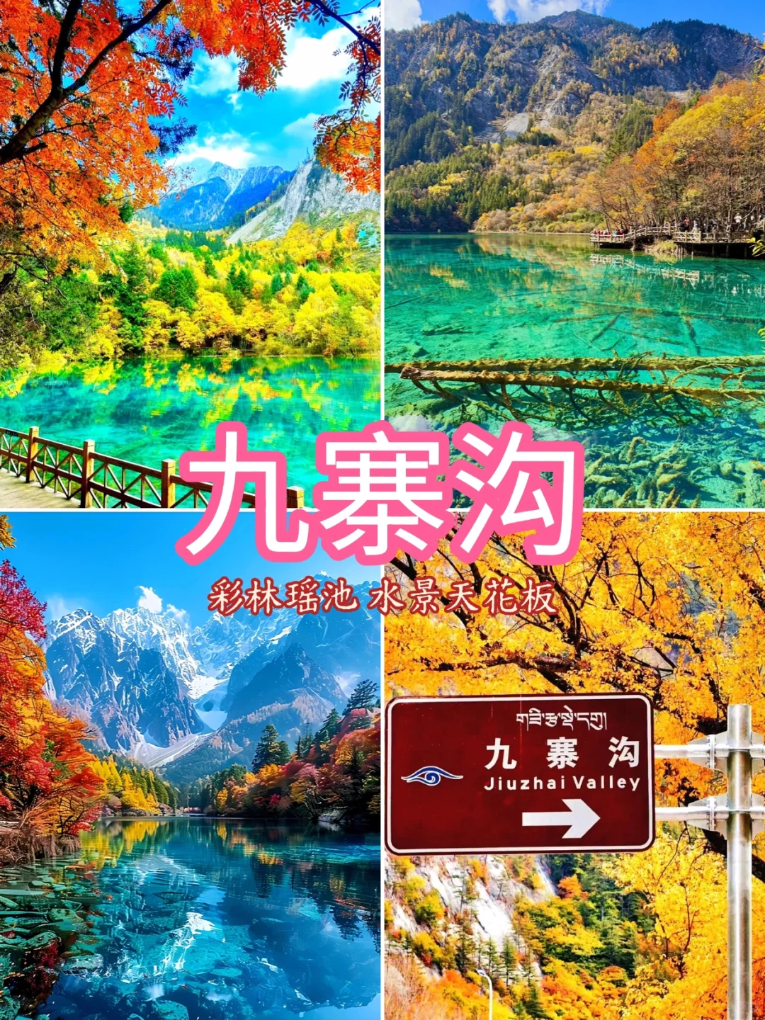 # 国内最值得去的9个秋景地 🍁 📸