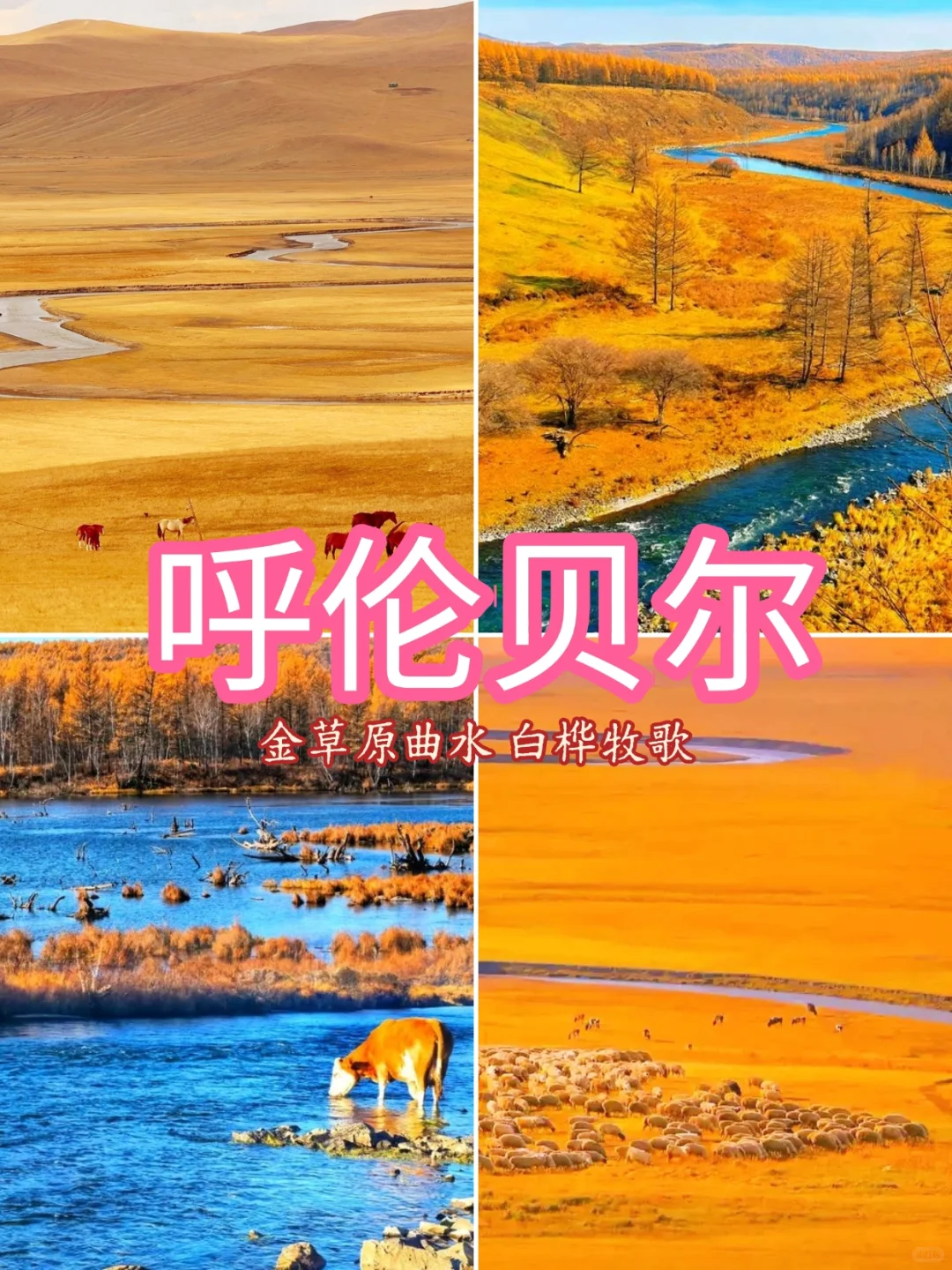# 国内最值得去的9个秋景地 🍁 📸