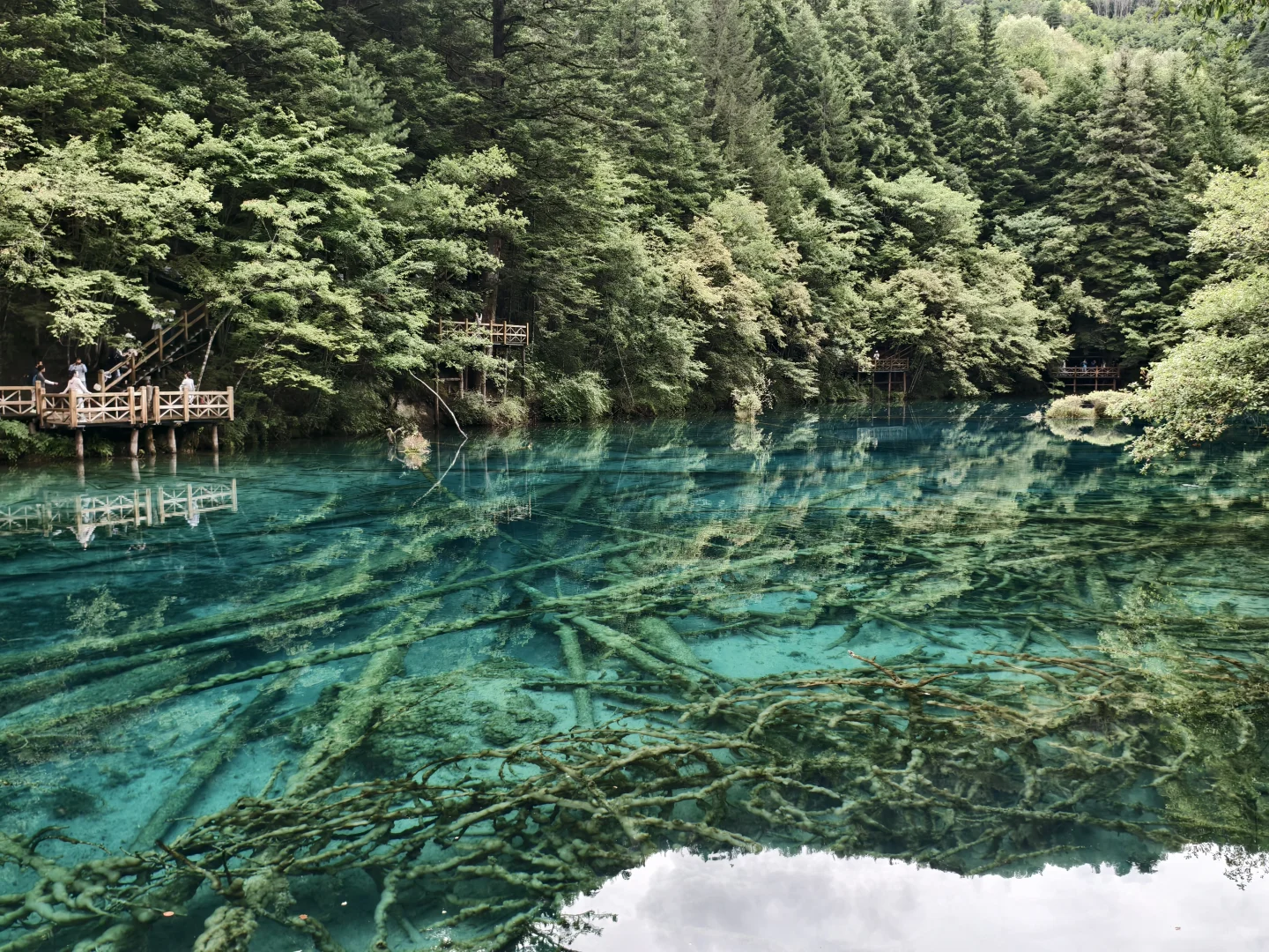 人生必去一趟九寨沟！