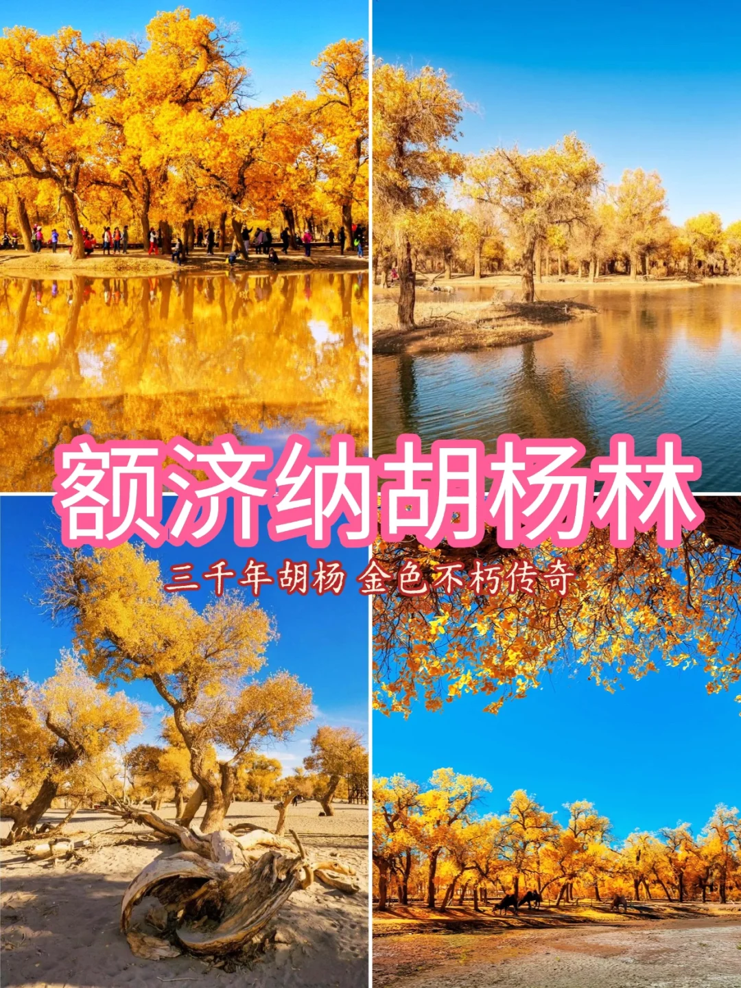 # 国内最值得去的9个秋景地 🍁 📸