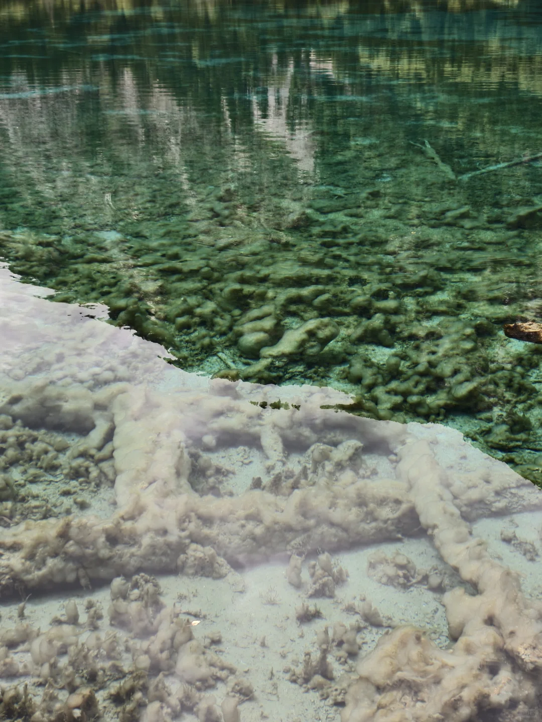 人生必去一趟九寨沟！