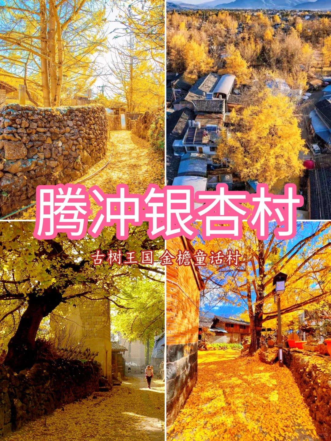 # 国内最值得去的9个秋景地 🍁 📸