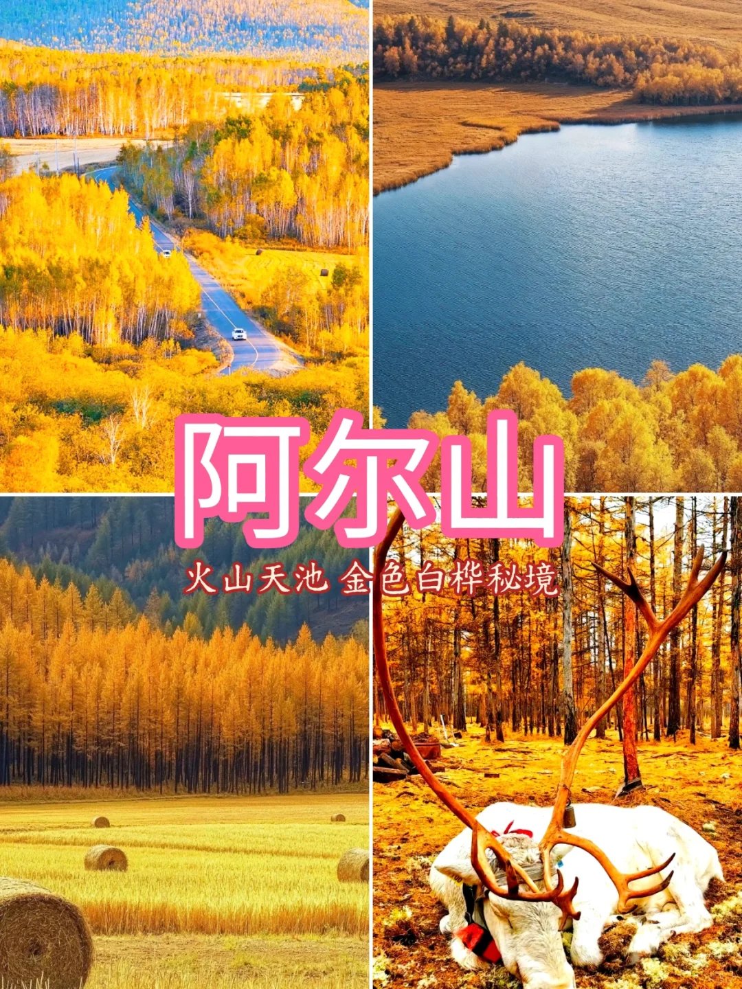 # 国内最值得去的9个秋景地 🍁 📸