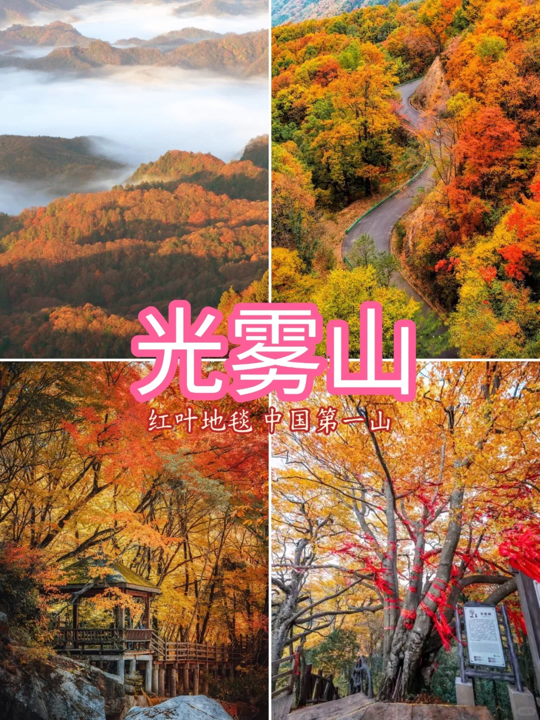 # 国内最值得去的9个秋景地 🍁 📸