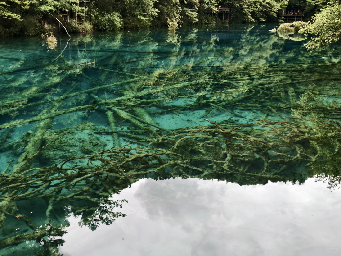 人生必去一趟九寨沟！
