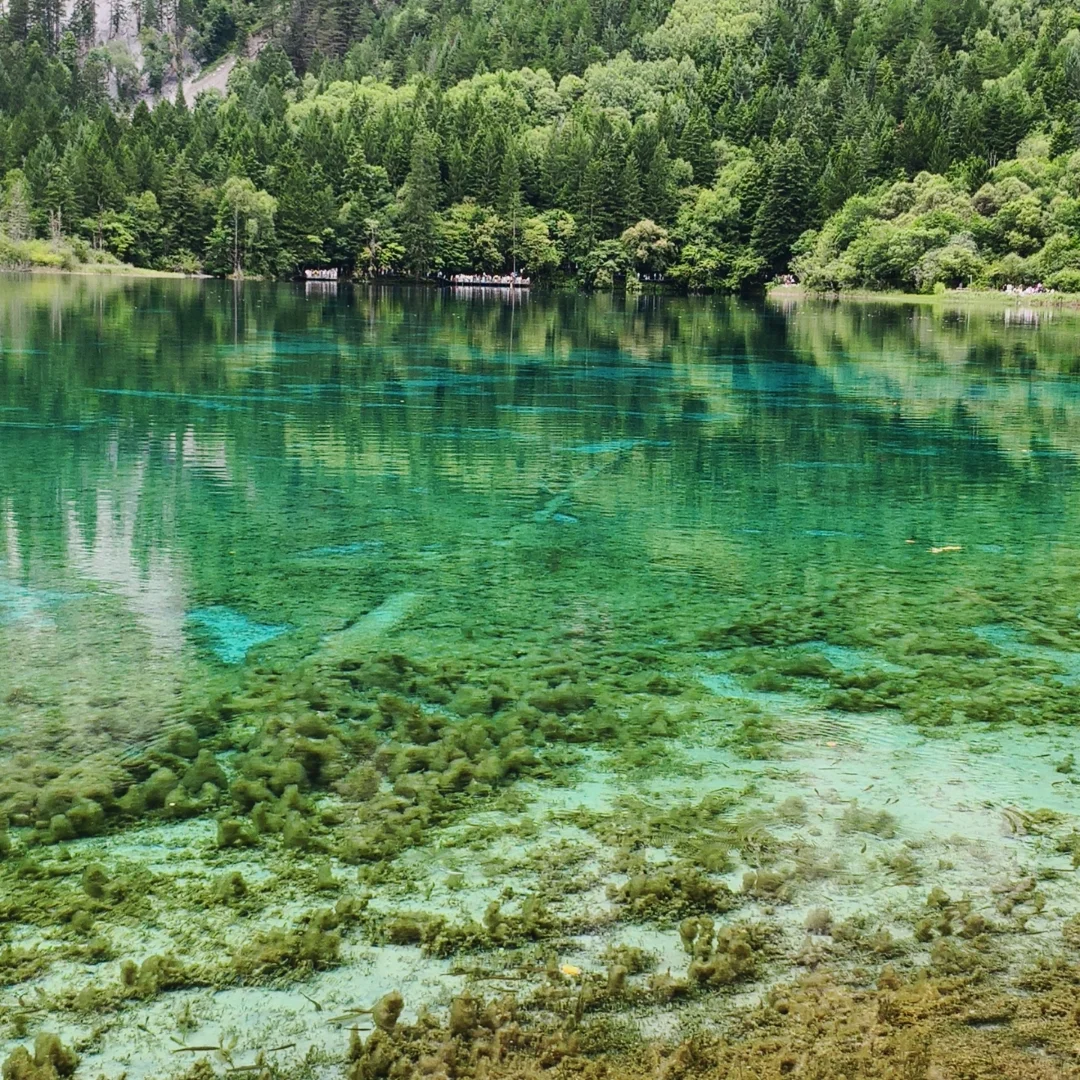 人生必去一趟九寨沟！