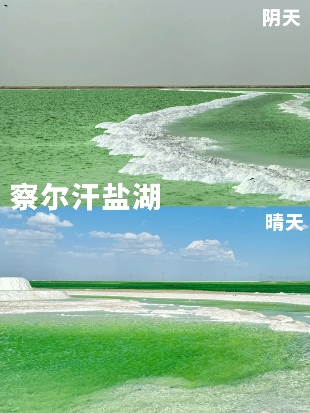 锐评青甘热门景点😅