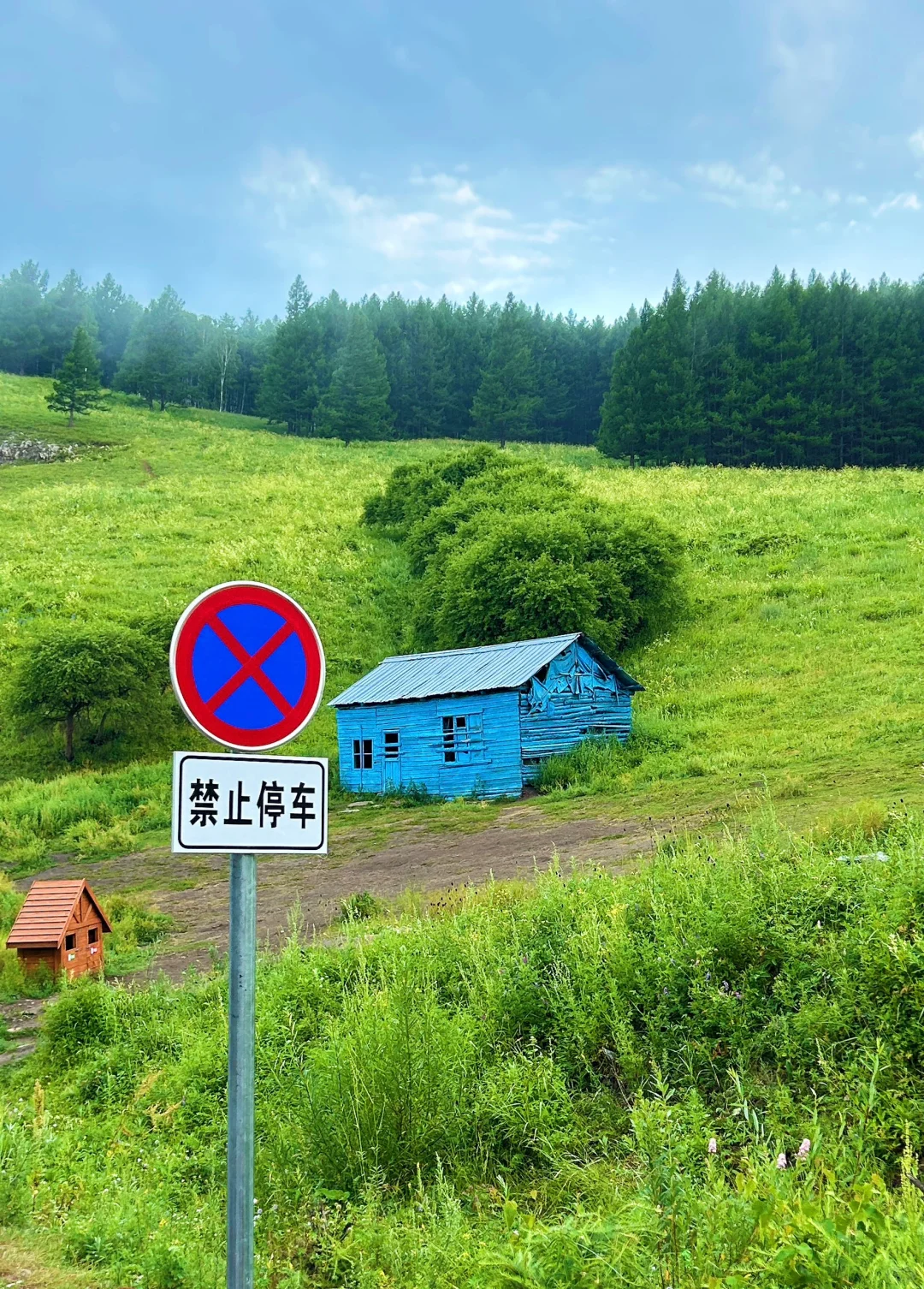 📍来阿尔山感受18度的夏天🌲 爆爆爆推