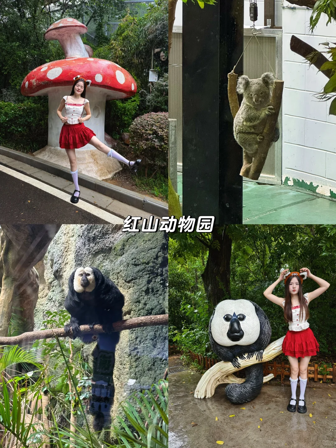 南京3天2晚旅游攻略 用心整理的超详细路线