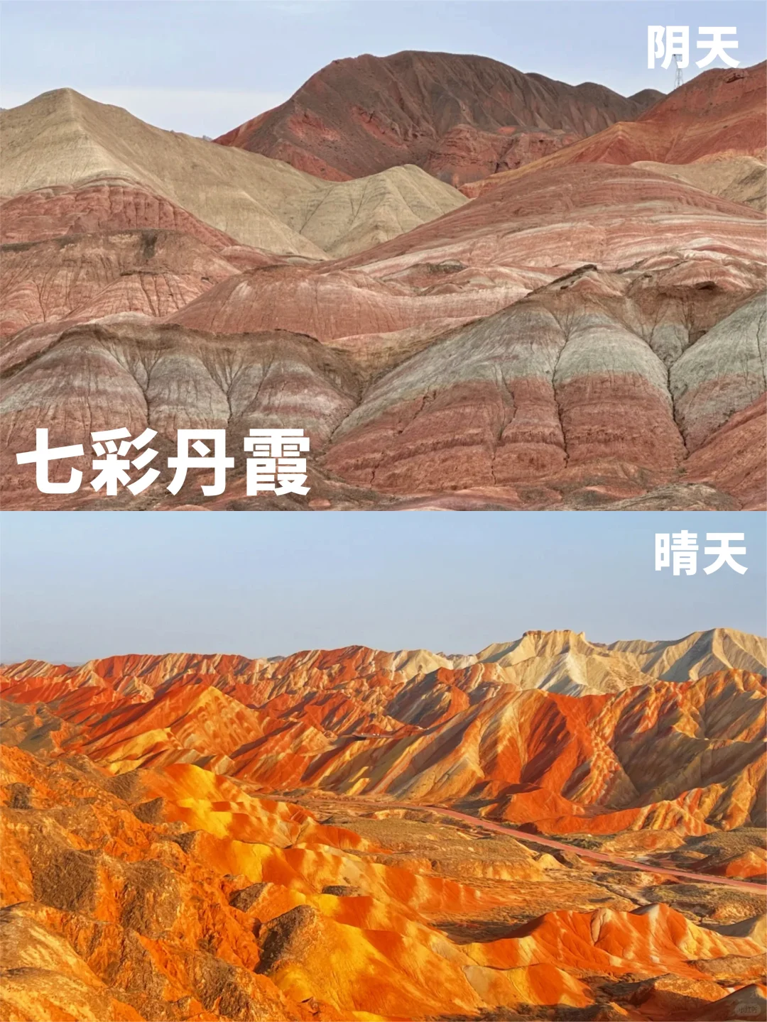 锐评青甘热门景点😅
