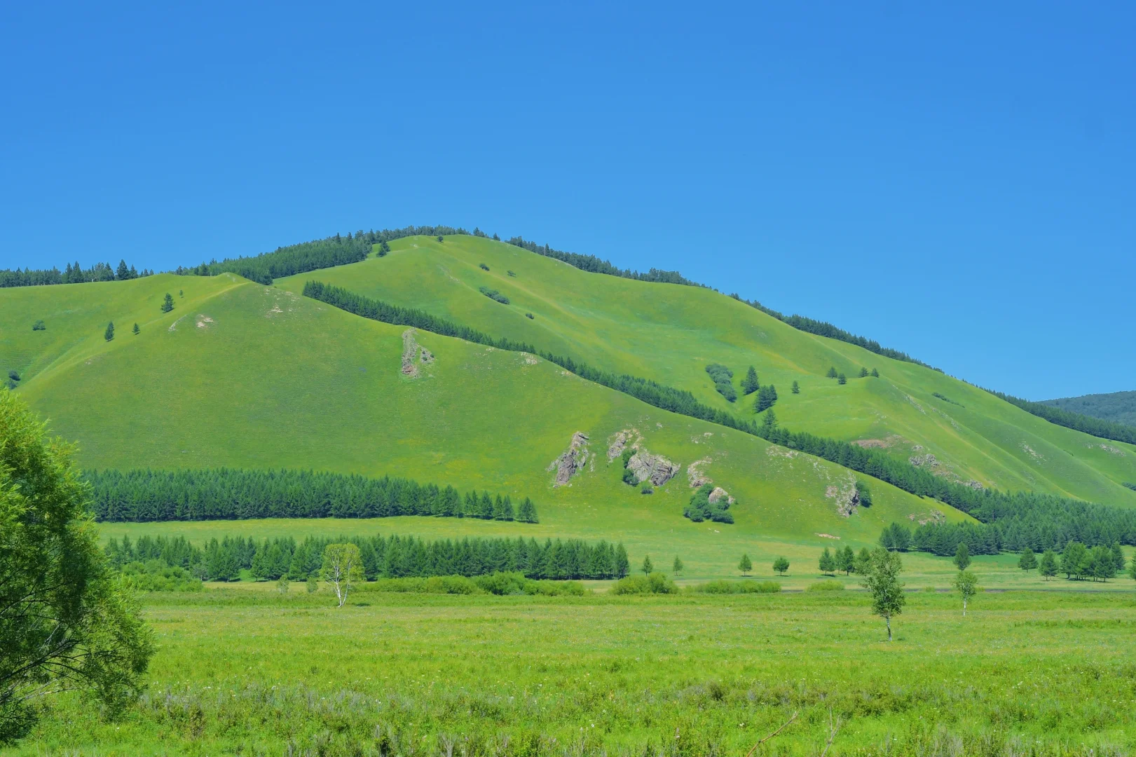 📍来阿尔山感受18度的夏天🌲 爆爆爆推