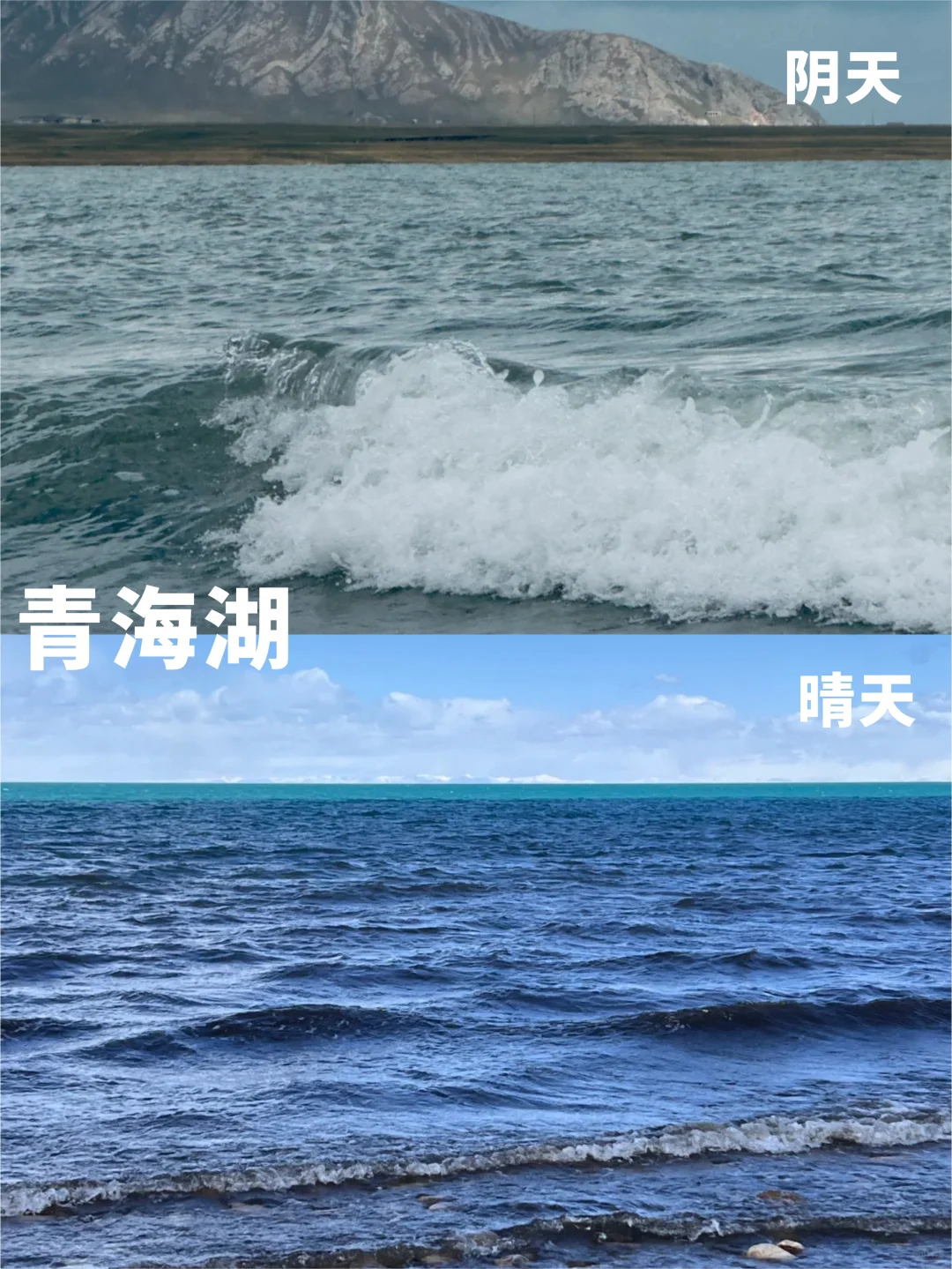 锐评青甘热门景点😅