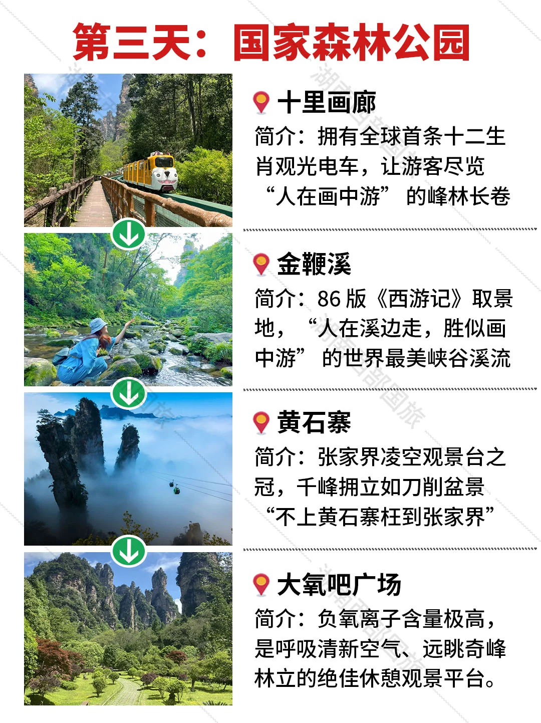 🔥张家界纯玩小团已回，能劝一个是一个