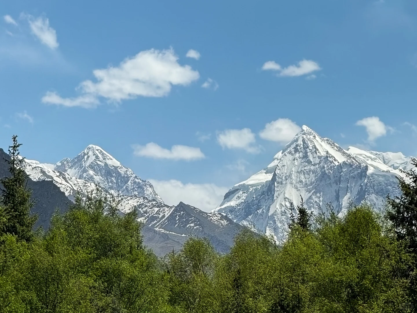 离职勇闯新疆伊犁✈️花费总览人均8k➖