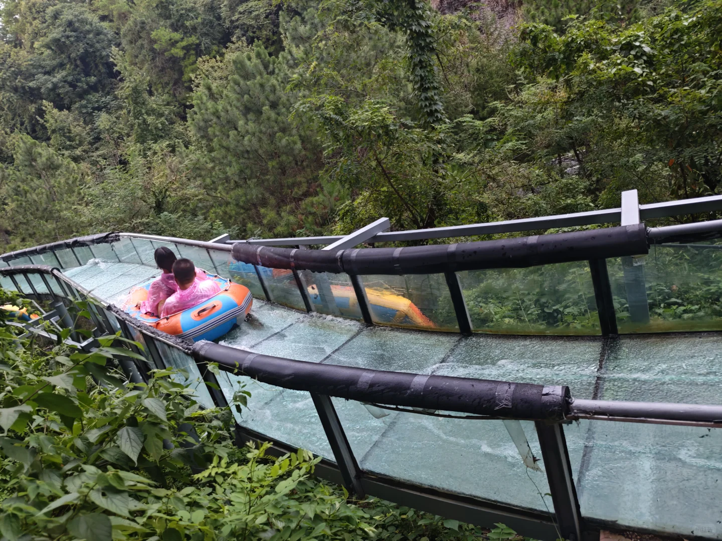 在天屿享受了一次无痛爬山❗