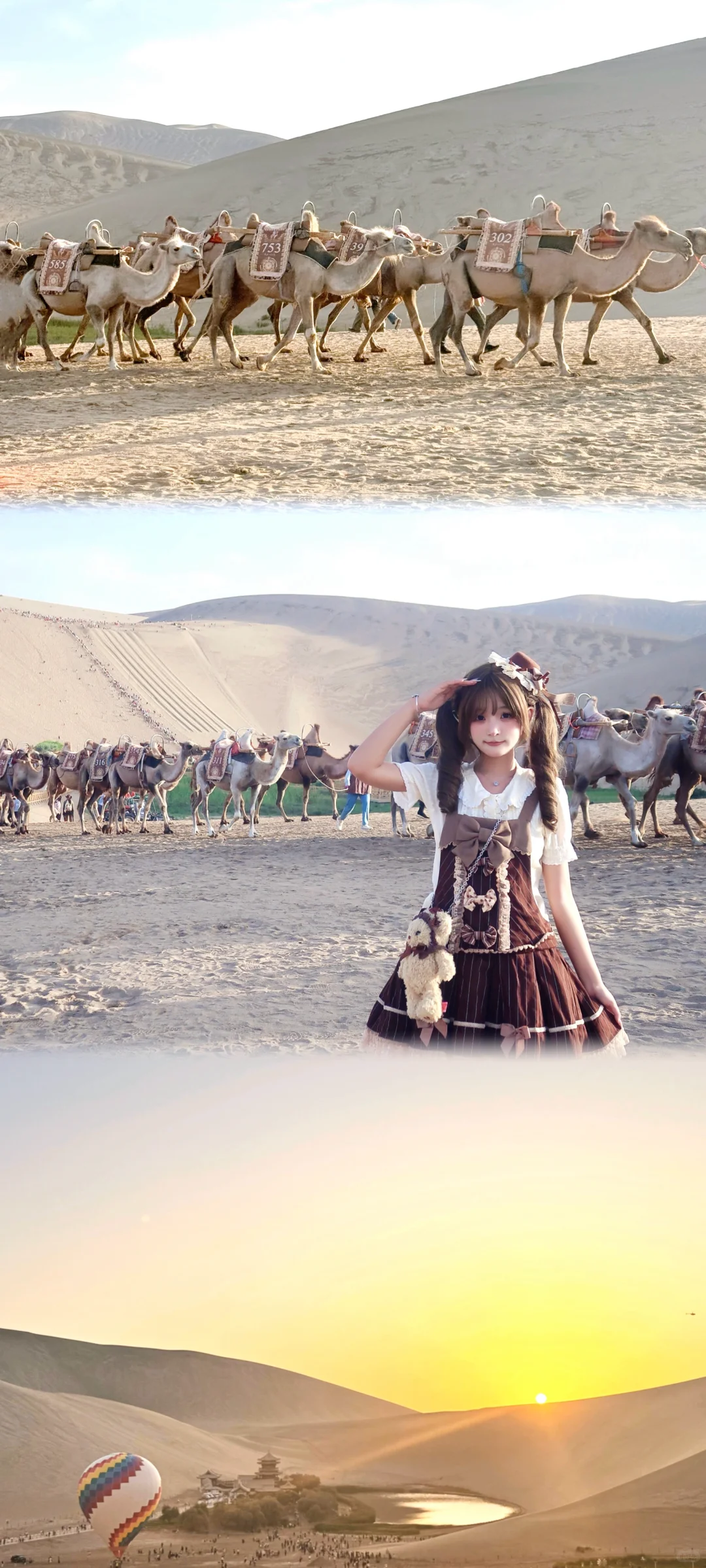 我的西北小小色卡₍˄ ₗ   ̫ ₗ ˄₎੭ﾞ