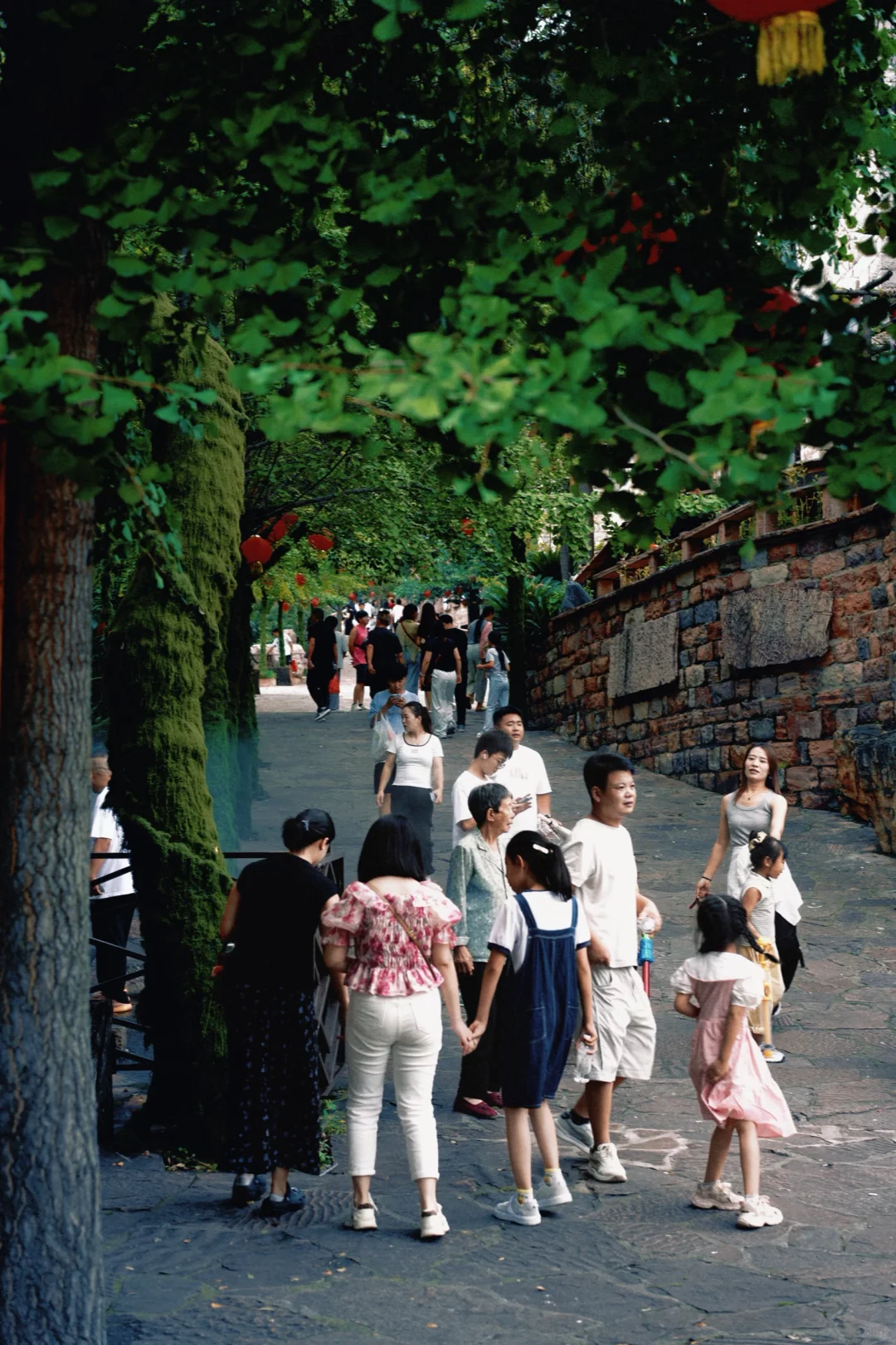 石家庄自驾2h！抵达「小江南」避暑拍照两不误✨