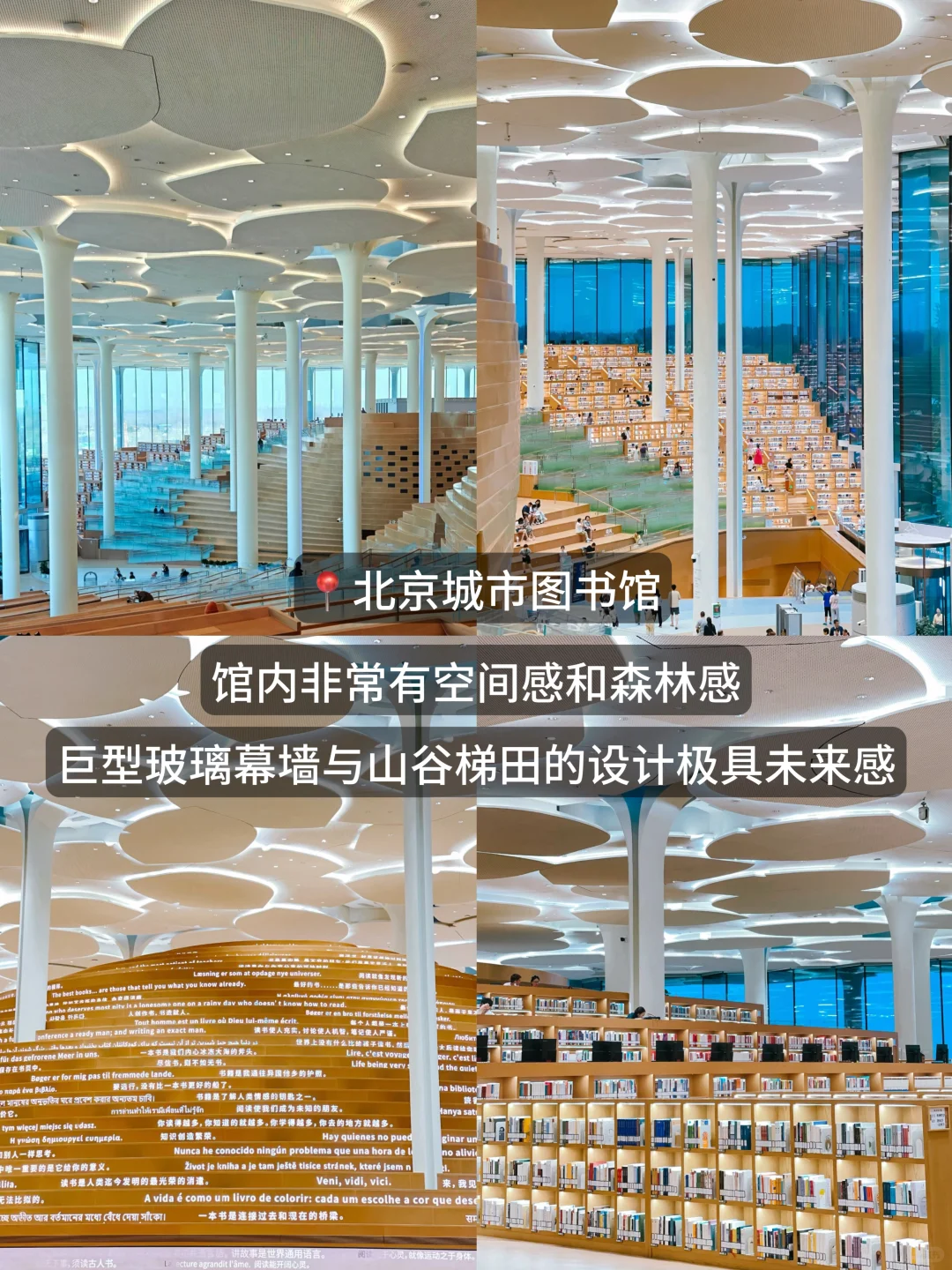 北京周末好去处|最好的地方果然都免费🔥