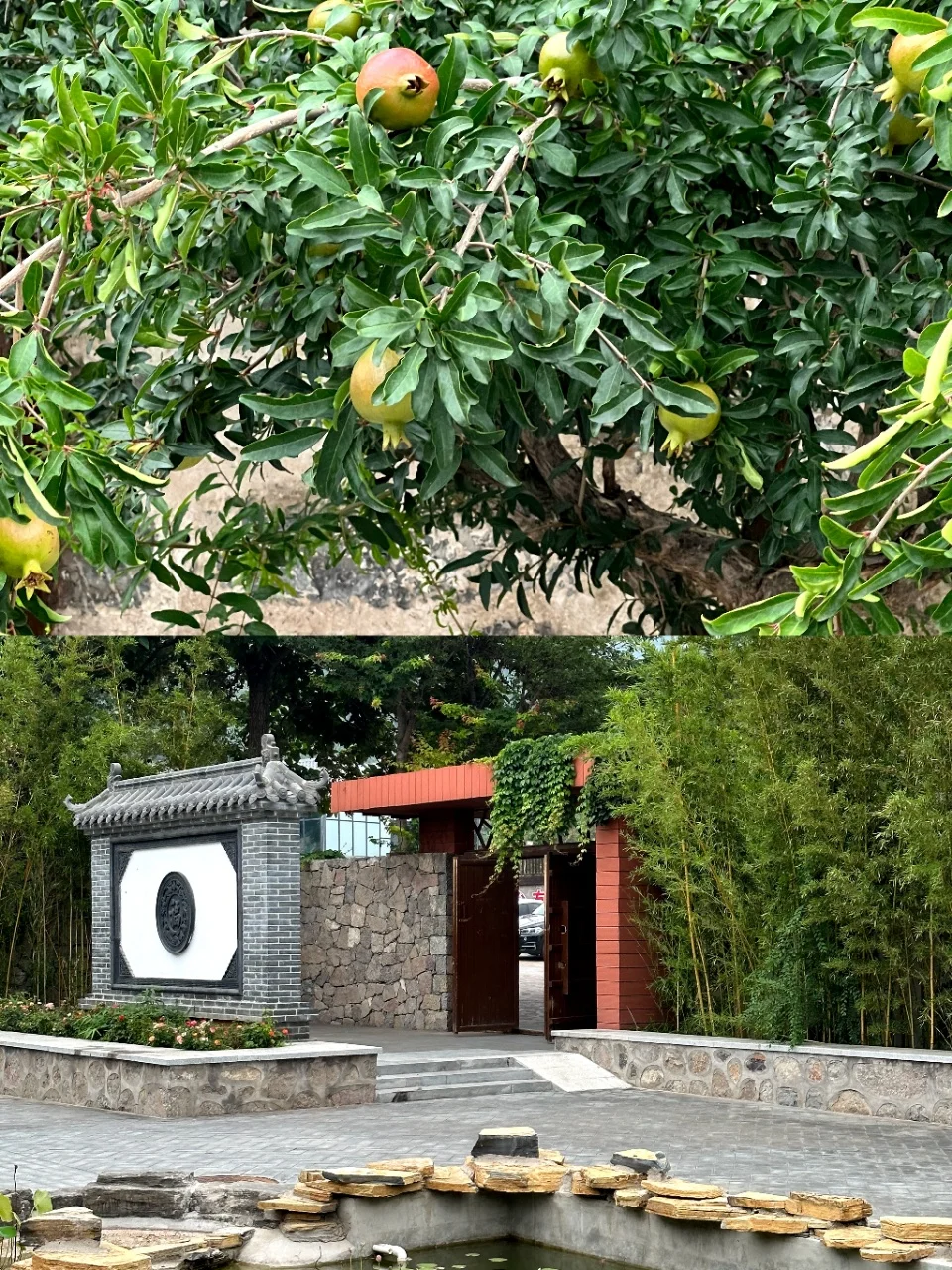 🌲邯郸1日游｜响堂山速玩攻略来咯～