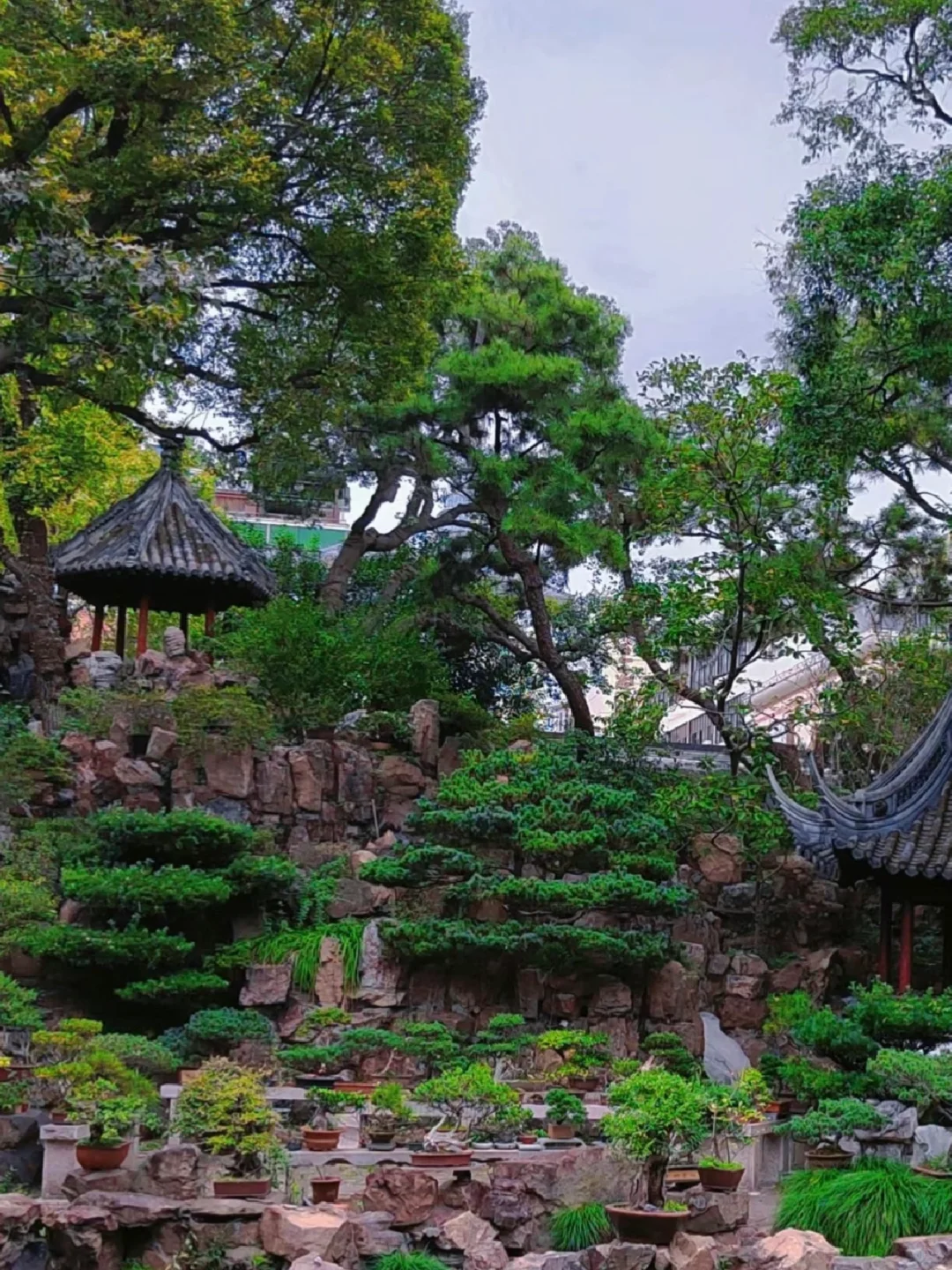 上海必去十大景点❗️附旅游攻略🖐🏻