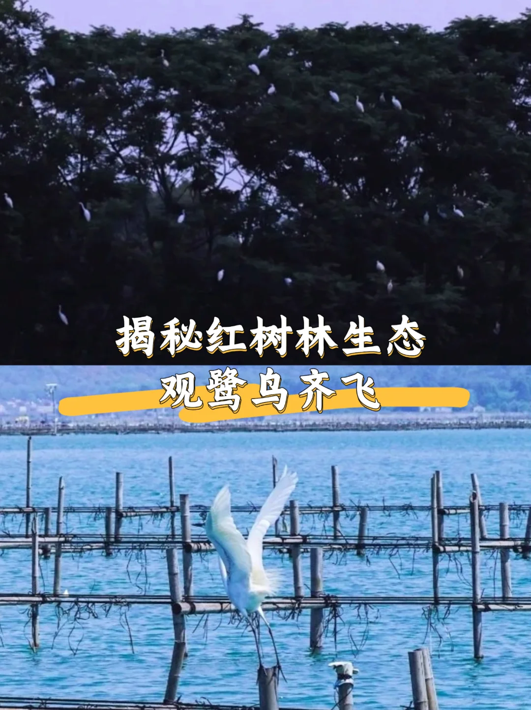 赢麻了‼️今年国庆我只带娃去这个地方🤩