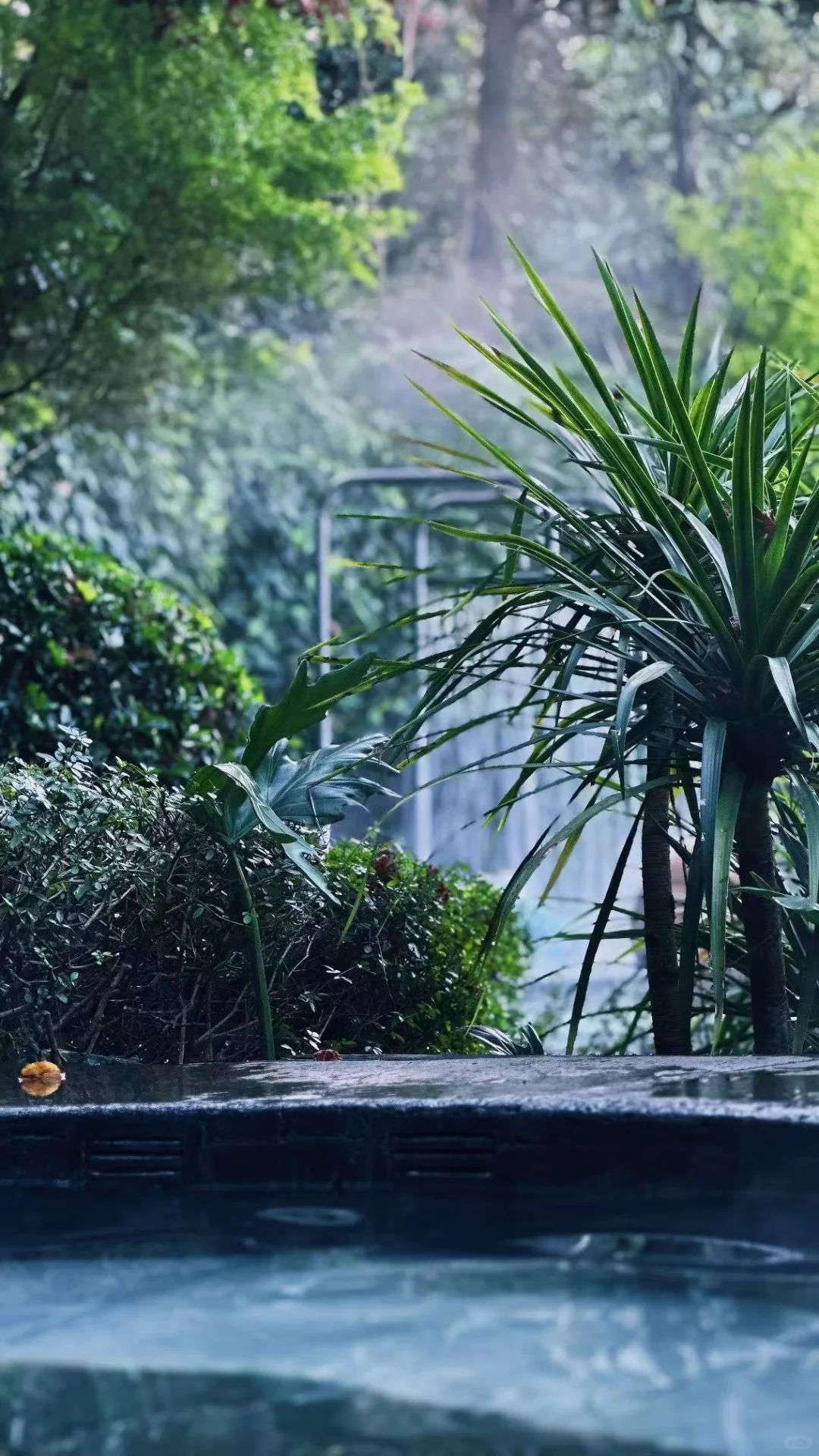 腾冲生活七年——腾冲温泉攻略（全）