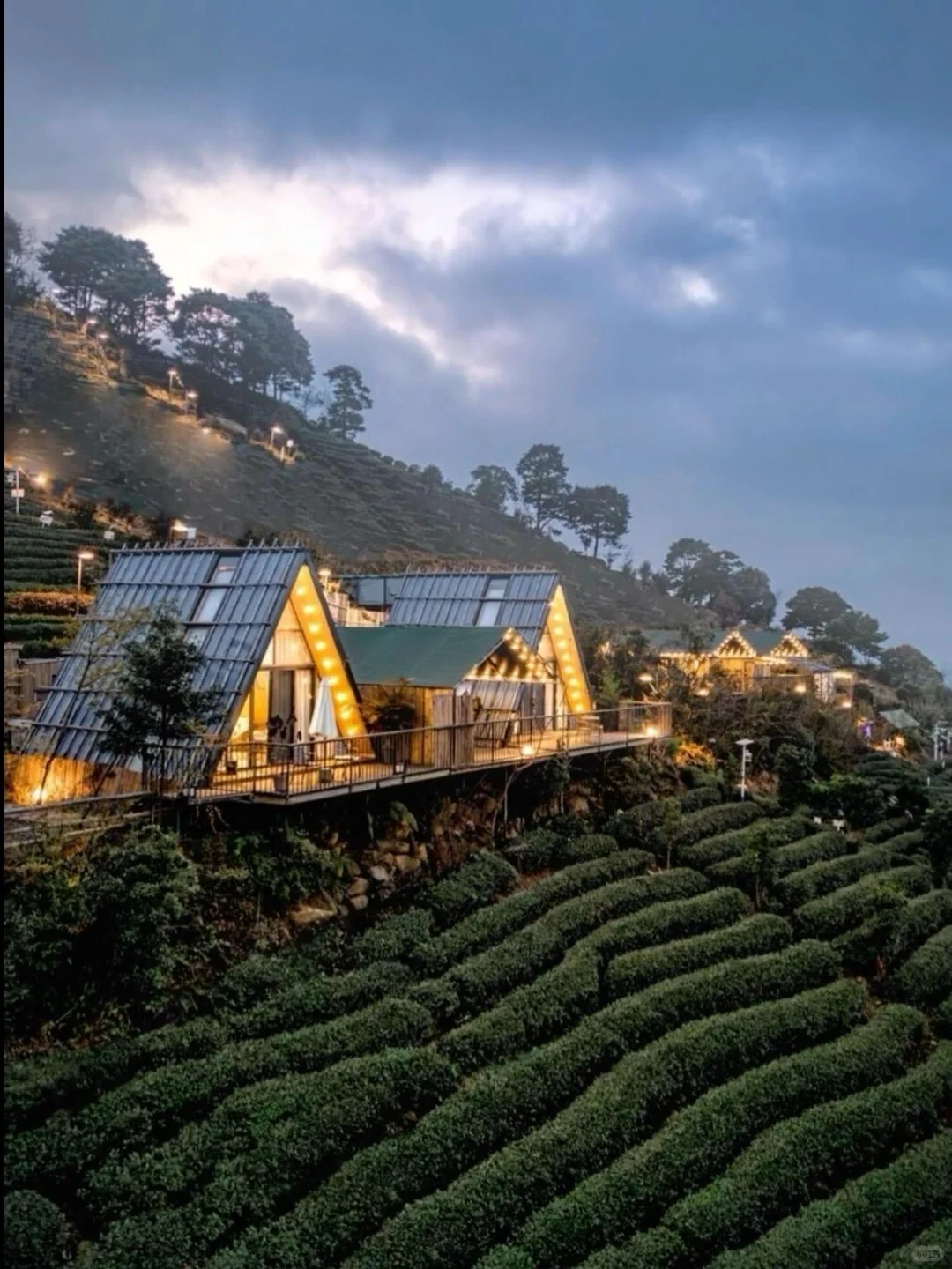 莫干山！童话木屋➕山野温泉♨️！779/3天🉑暑假