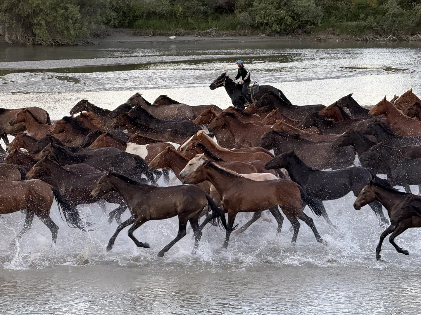 离职勇闯新疆伊犁✈️花费总览人均8k➖