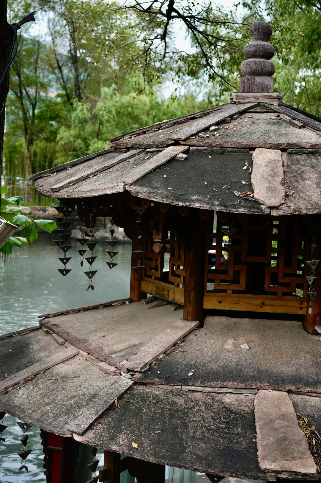 石家庄自驾2h！抵达「小江南」避暑拍照两不误✨